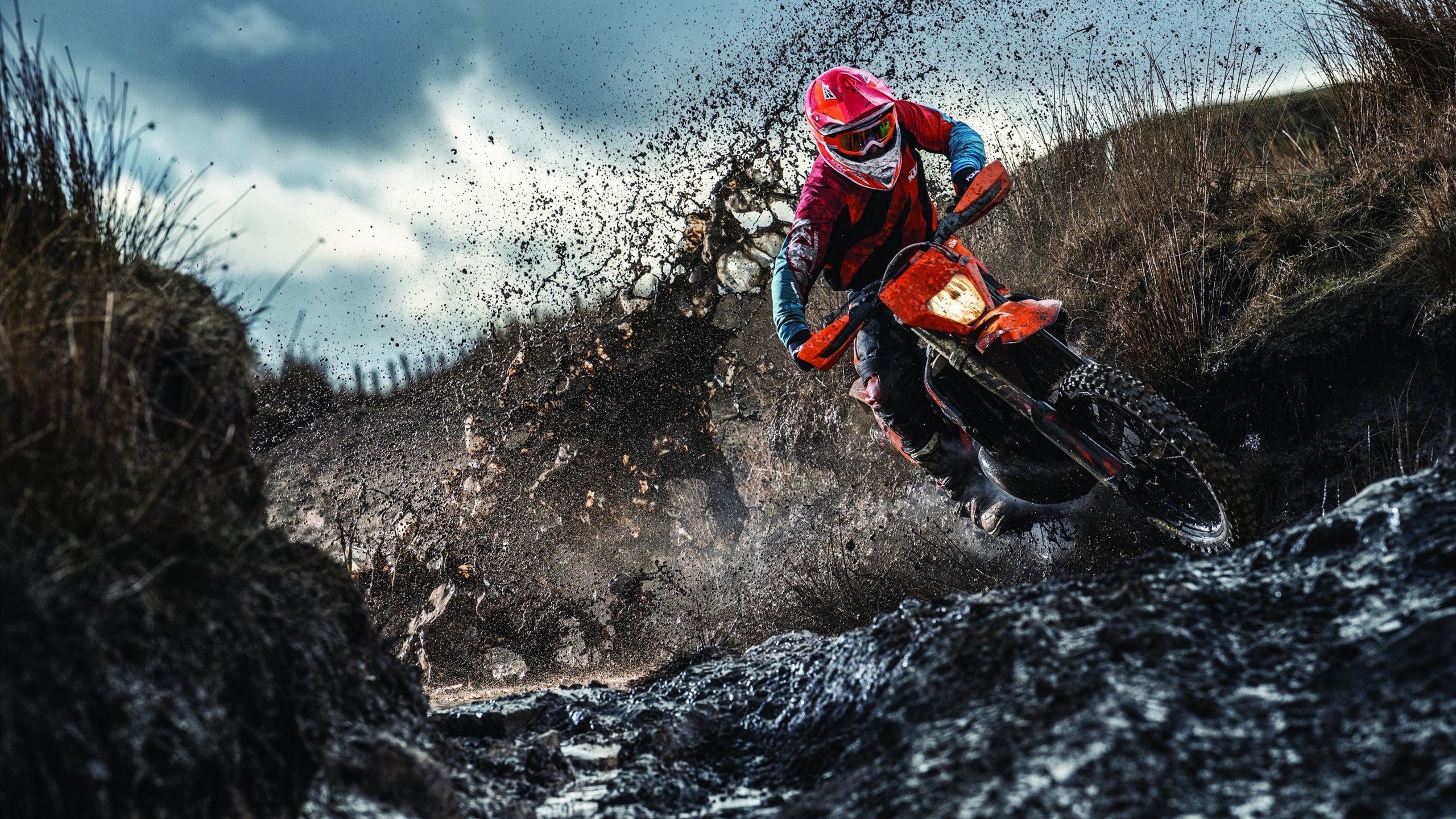 加拿大队赛制解读:在赛制中如何平衡个人能力与团队配合